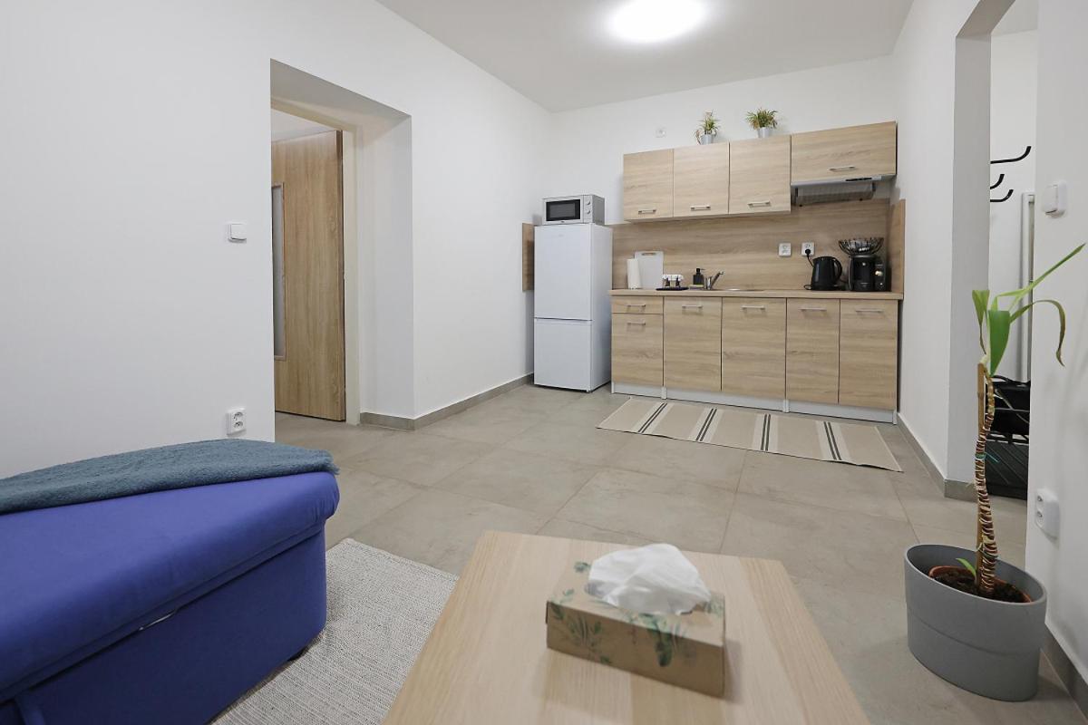 Fara No71 Apart 3 Libice nad Cidlinou ภายนอก รูปภาพ